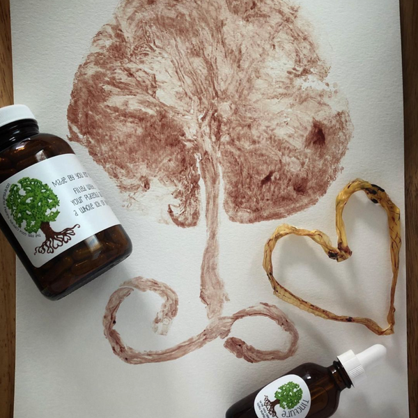 Preserving the Placenta for Postpartum and Beyond